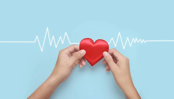 Руки Тримають Червоне Серце Концепції Донорства Здоров Серця — стокове фото
