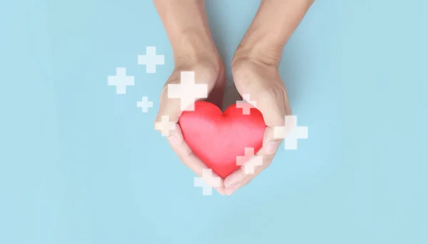 Руки Держат Красное Сердце Концепции Донорства Здоровья Сердца — стоковое фото