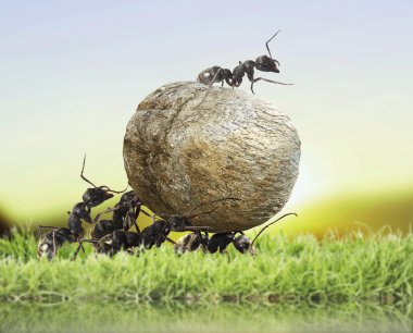 team of ants clipart