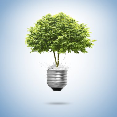 고립 된 트리 전구面对在窗前