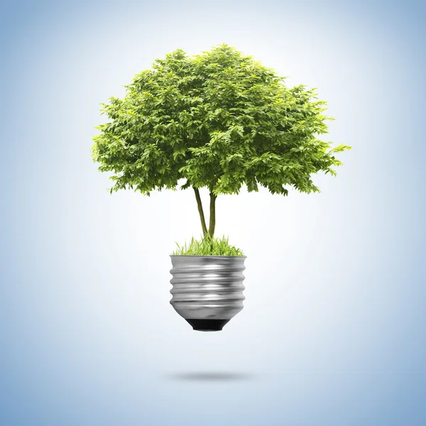 Tree Light bulb isolated — Stock Photo, Image