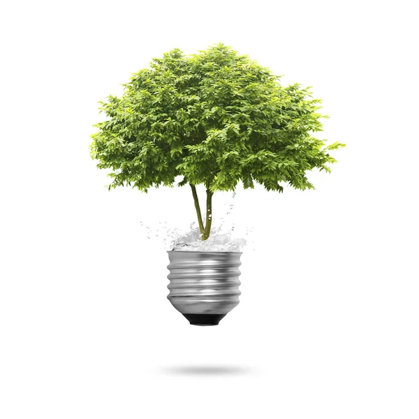 Tree Light bulb isolated — Stock Photo, Image