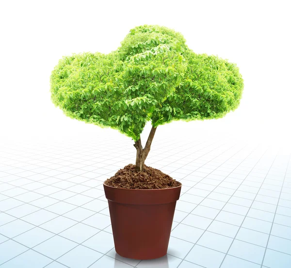 Tree and soil — Stock Photo, Image