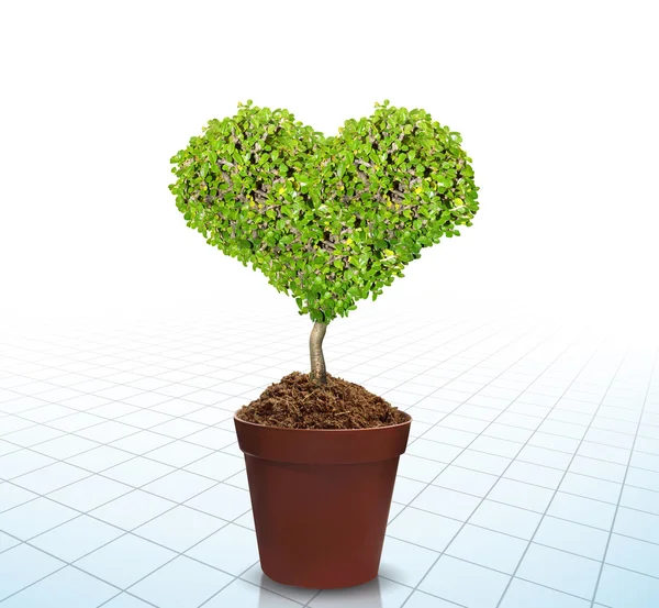 Tree and soil — Stock Photo, Image