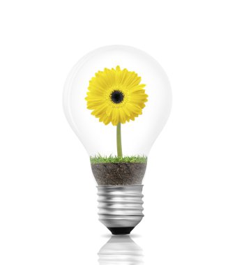 Eko enerji kavramı 
