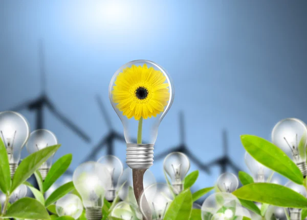 Concepto de energía ecológica — Foto de Stock