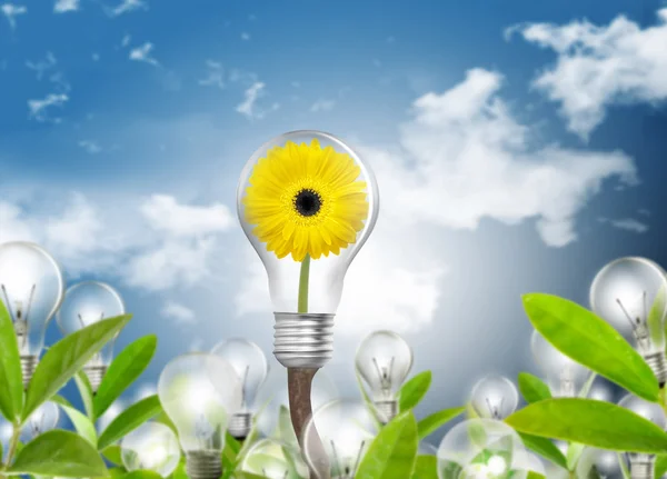 Eco energieconcept — Stockfoto