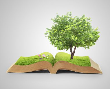  kitap fantezi hikayeleri 