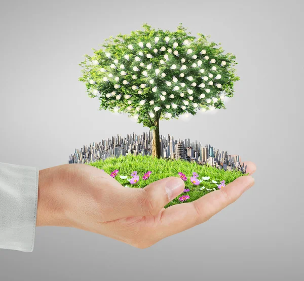 Human hands holding tree ,light bulb — Stock Photo, Image
