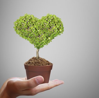 Ağaç holding insan eller 