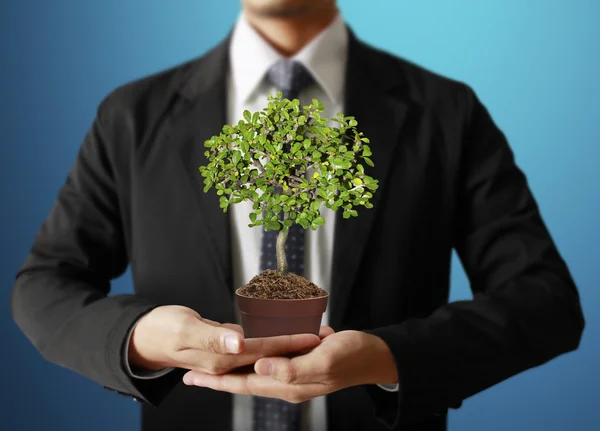 Empresário segurando planta na mão — Fotografia de Stock
