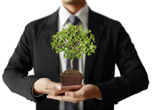 Hand plant ,tree — Stock Photo, Image