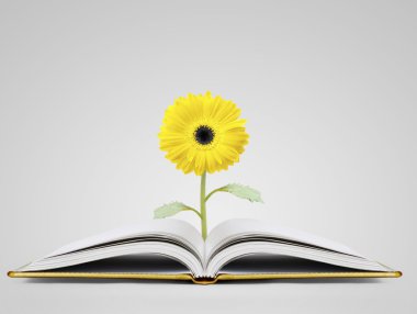 sihirli kitap açık