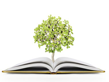 sihirli kitap açık
