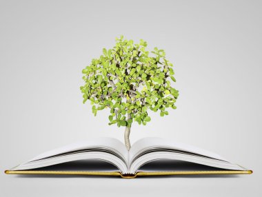 sihirli kitap açık