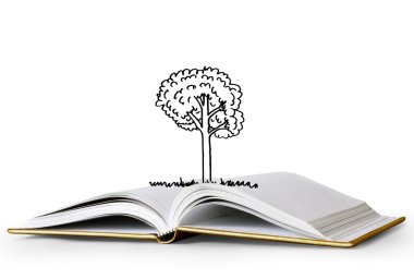 sihirli kitap açık