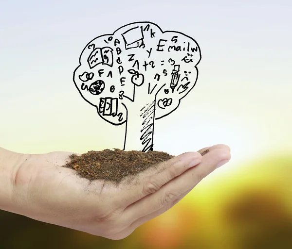 Hand plant ,tree — Stock Photo, Image