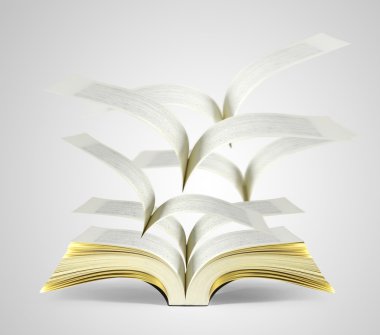 sihirli kitap açık