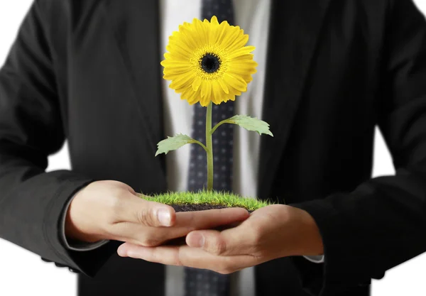 Mann hält Pflanze in der Hand — Stockfoto