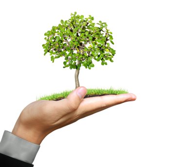 bitki elinde tutan adam