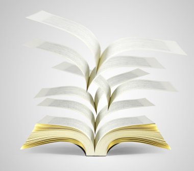 sihirli kitap açık