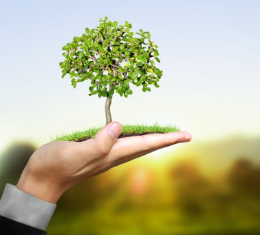 bitki elinde tutan adam