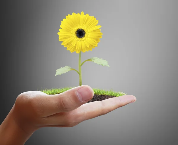 Man met plant in de hand — Stockfoto