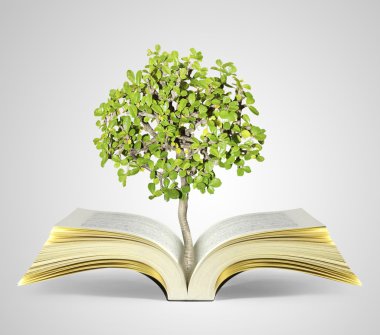 kitap fantezi hikayeleri 