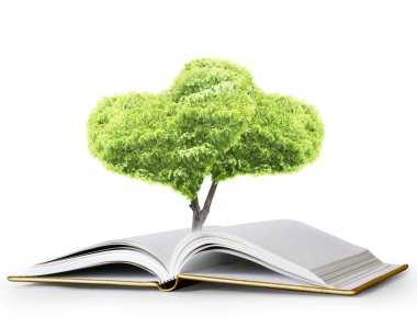kitap fantezi hikayeleri 