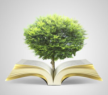 kitap fantezi hikayeleri 