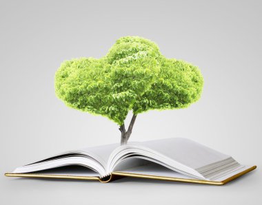 kitap fantezi hikayeleri 