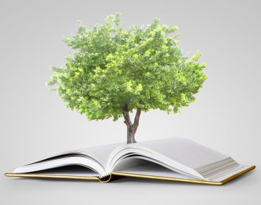 kitap fantezi hikayeleri 