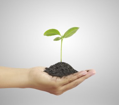 bitki elinde tutan adam