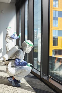 Vertical side view full length portrait of two workers wearing hazmat suits disinfecting windows and floors in office building clipart
