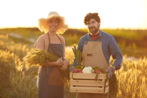 Taille Omhoog Portret Van Glimlachend Volwassen Paar Houden Rijke Oogst — Stockfoto