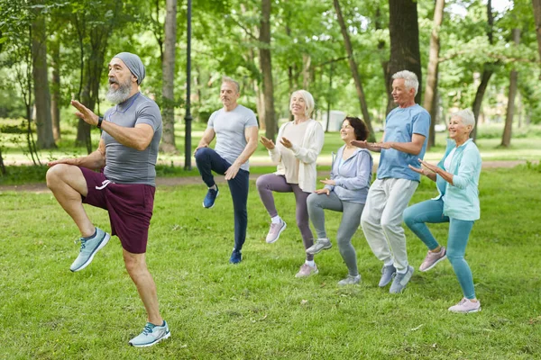 Wide Shot Active Elderly Men Women Doing Morning Workout Park — Stok Foto