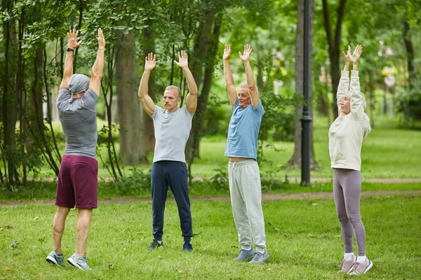 Amplio Tiro Personas Mayores Activas Haciendo Ejercicio Estiramiento Manos Frente — Foto de Stock