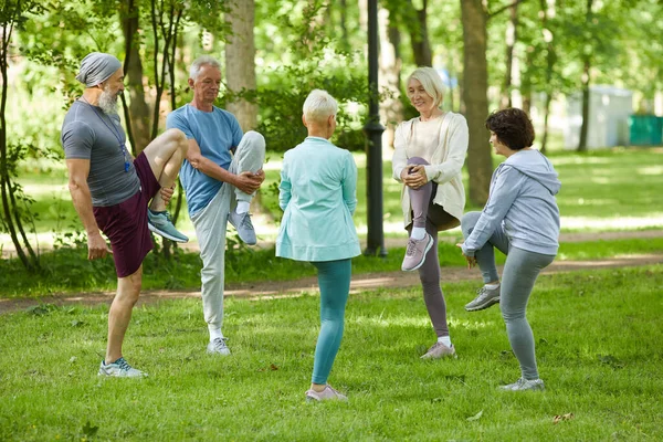 Grupo Personas Mayores Modernas Que Pasan Mañana Soleada Parque Haciendo — Foto de Stock