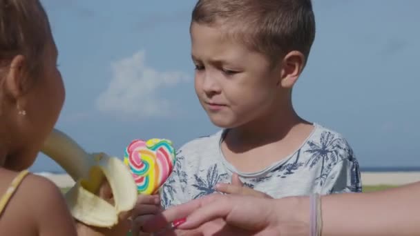 Rückansicht Des Kleinen Kaukasischen Jungen Mit Einem Lutscher Den Händen — Stockvideo