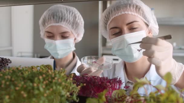 Aussperrung Von Zwei Kaukasischen Biotechnologinnen Die Medizinische Kleidung Masken Und — Stockvideo