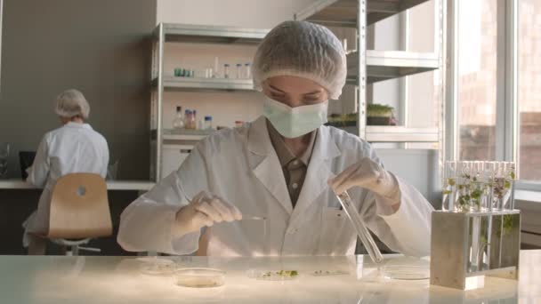 Uzamčení Mladé Biochemičky Lékařské Uniformě Klobouku Masce Rukavicích Které Vytahují — Stock video