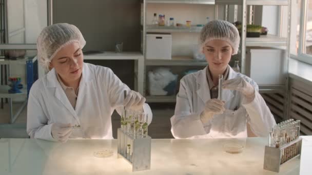 Chiusura Paio Scienziate Caucasiche Che Indossano Uniformi Mediche Cappelli Guanti — Video Stock