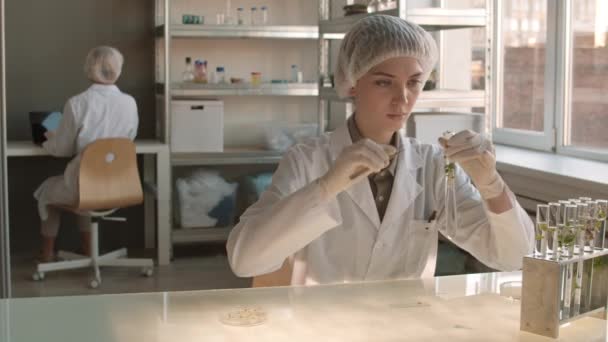 Inyección Media Una Joven Bióloga Con Uniforme Médico Sombrero Guantes — Vídeos de Stock