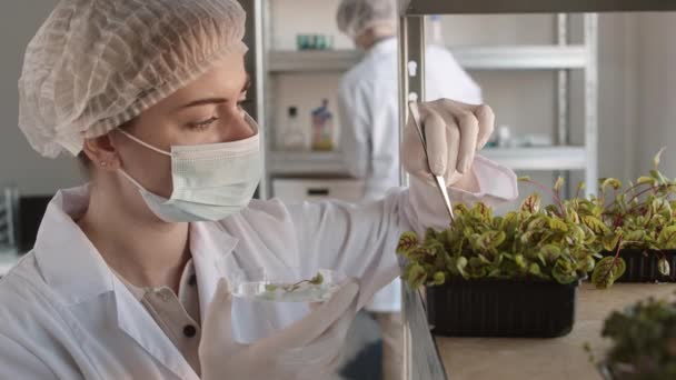 Pan Shot Professionell Kvinnlig Biotekniker Bär Medicinsk Totalt Mask Och — Stockvideo