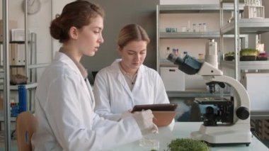 Medikal giyimli ve eldiven giymiş iki genç bilim adamının biyokimya laboratuarındaki çalışma odasında birlikte otururken ve mikroskop kullanarak bitki üzerinde deney yaparken orta ölçekli bir fotoğrafı.