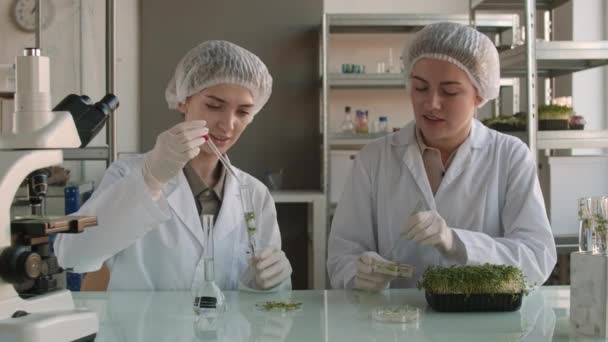 医療用の制服 使い捨ての帽子 手袋を身に着けている2人の若い白人女性の中出しは 実験室で一緒に座って生化学的研究を行う — ストック動画