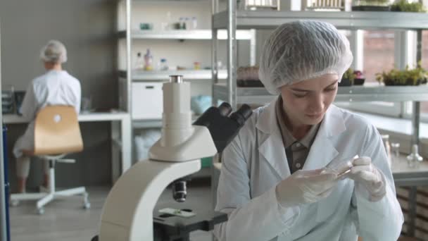 Medium Shot Young Caucasian Woman Wearing Disposable Medical Hat Gloves — Stock Video