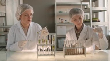Tıp üniforması, tek kullanımlık şapkalar ve eldivenler giyen iki genç kadın bilim adamının laboratuarda birlikte otururken ve biyokimyasal araştırmalar yaparken orta ölçekli bir fotoğrafı.