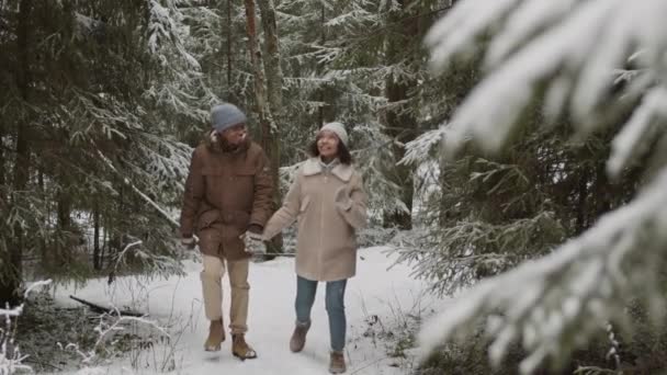 Encierro Jóvenes Diversos Hombres Mujeres Caminando Bosque Coníferas Invierno Tomándose — Vídeo de stock