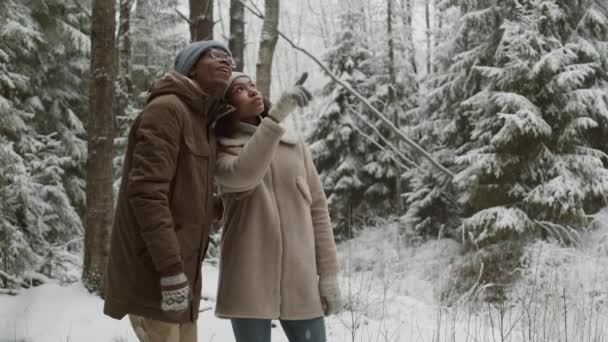 Bloqueio Jovens Multiétnicos Homem Mulher Floresta Coníferas Inverno Desfrutando Vista — Vídeo de Stock